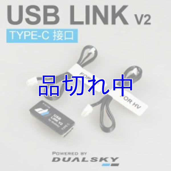 画像1: DUALSKY　USBリンク (1)